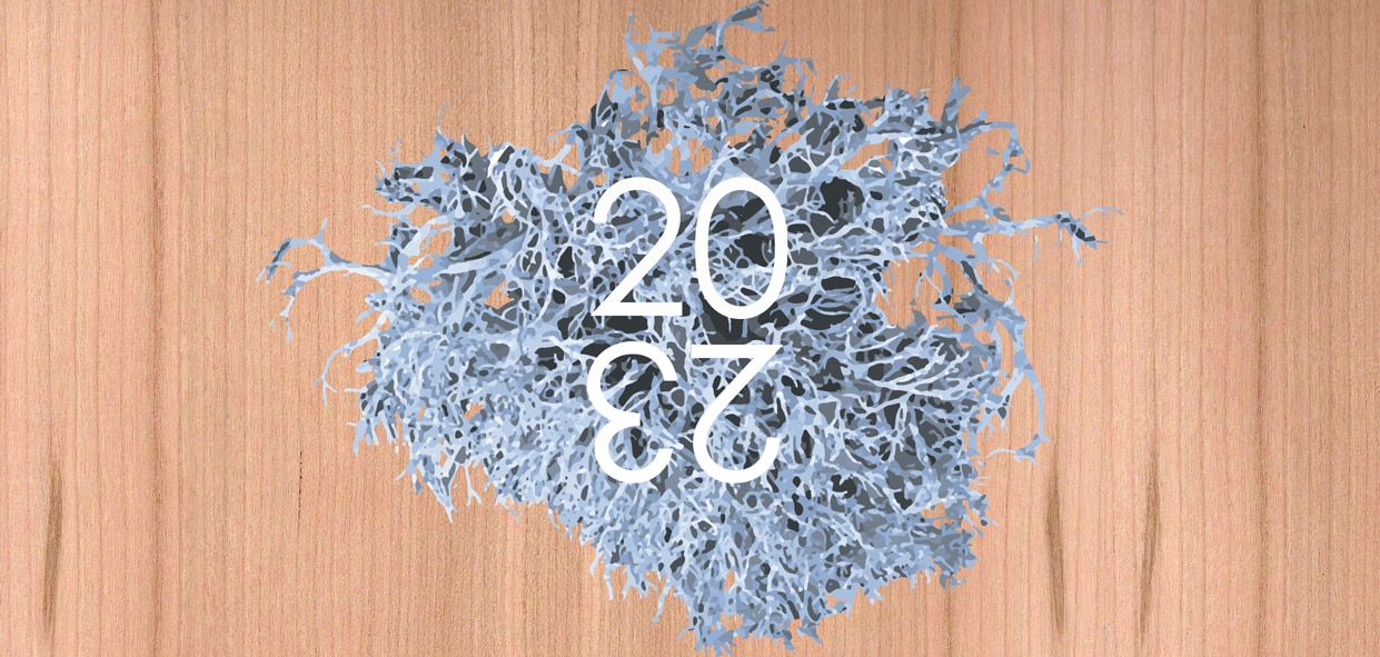 09-carte de voeux bois modèle lichen cerisier (2)